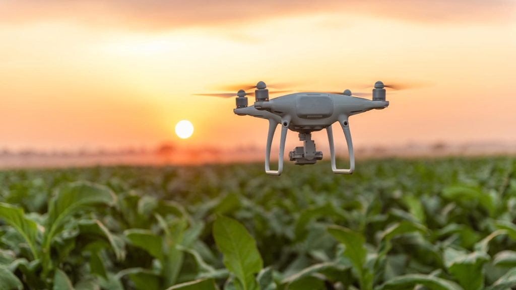 Drones agriculture culture