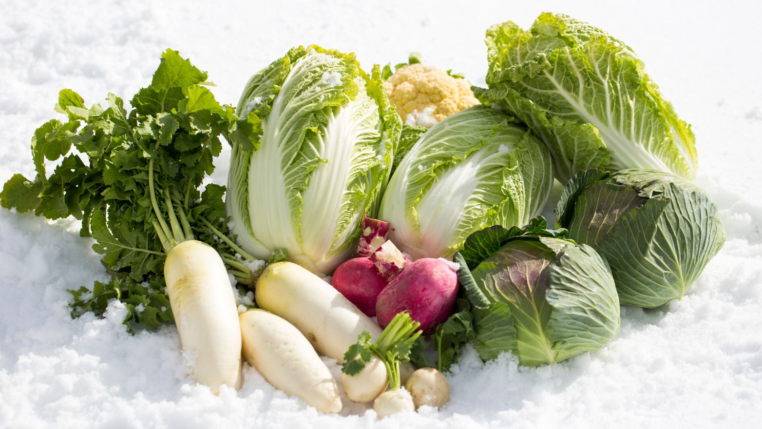 Protéger ses légumes en hiver : 5 techniques efficaces
