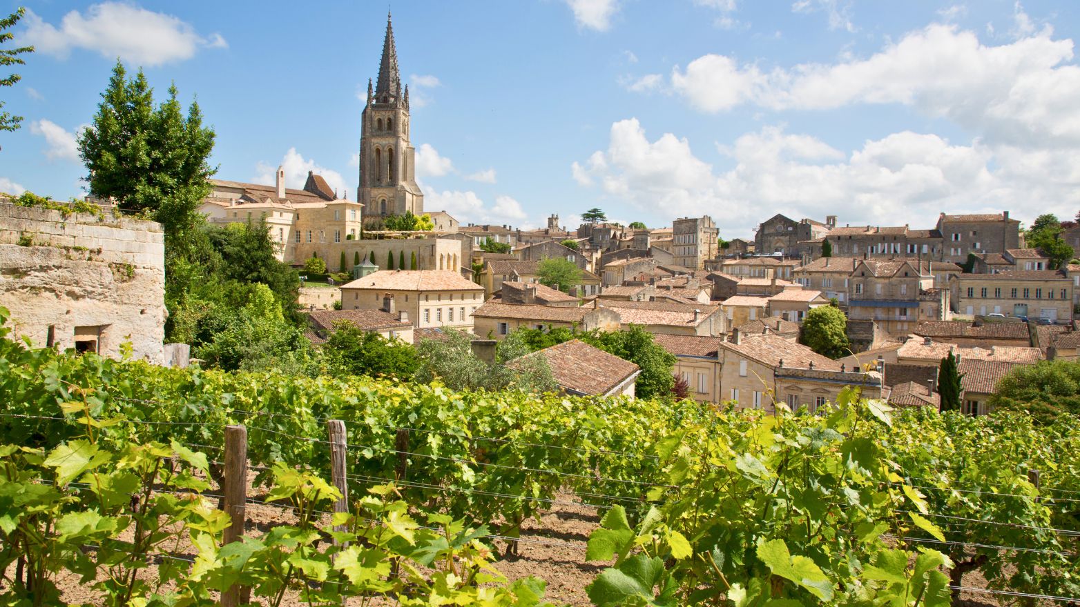 Vin Bordeaux vendanges