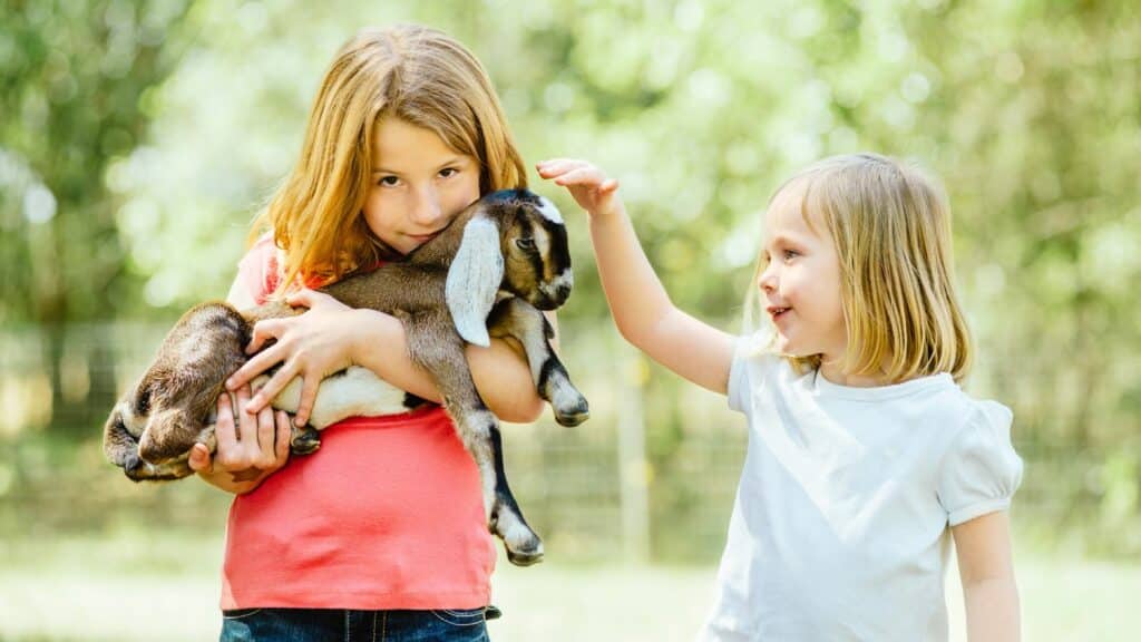 Activités à la ferme pour les enfants