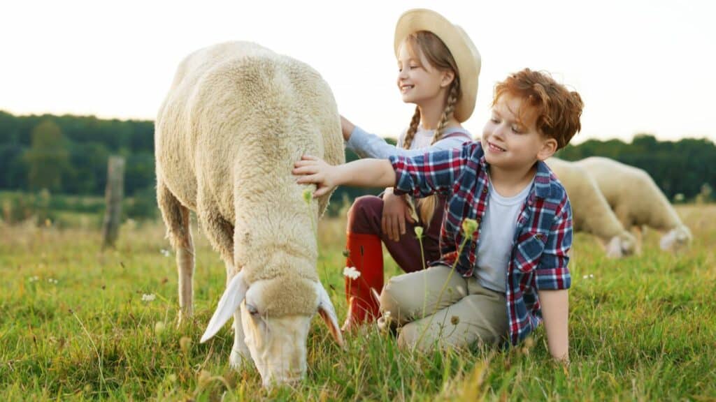 Activités à la ferme pour les enfants