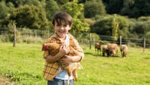 5 activités d'été pour accueillir des familles à la ferme
