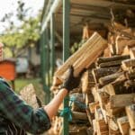 La vie au rythme du bois de chauffage : coupe et stockage