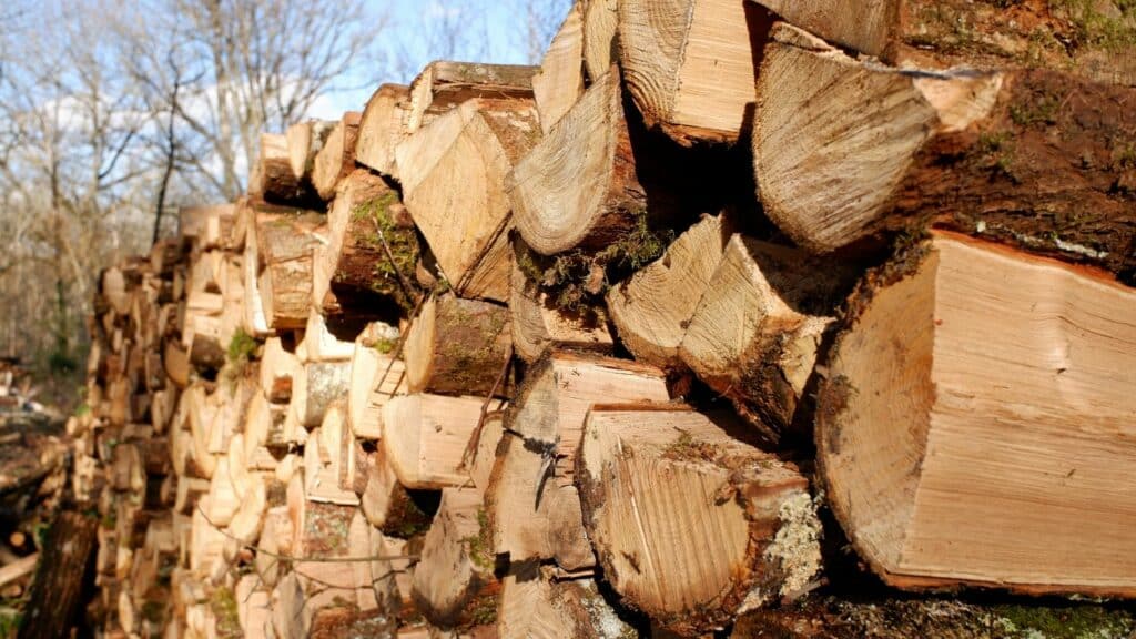 Tas bois de chauffage
