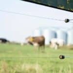 Clôture électrique difficile : végétation et humidité