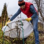 Protéger son jardin du gel en hiver : les solutions