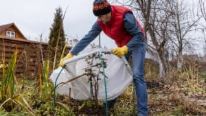 Protéger son jardin du gel en hiver : les solutions
