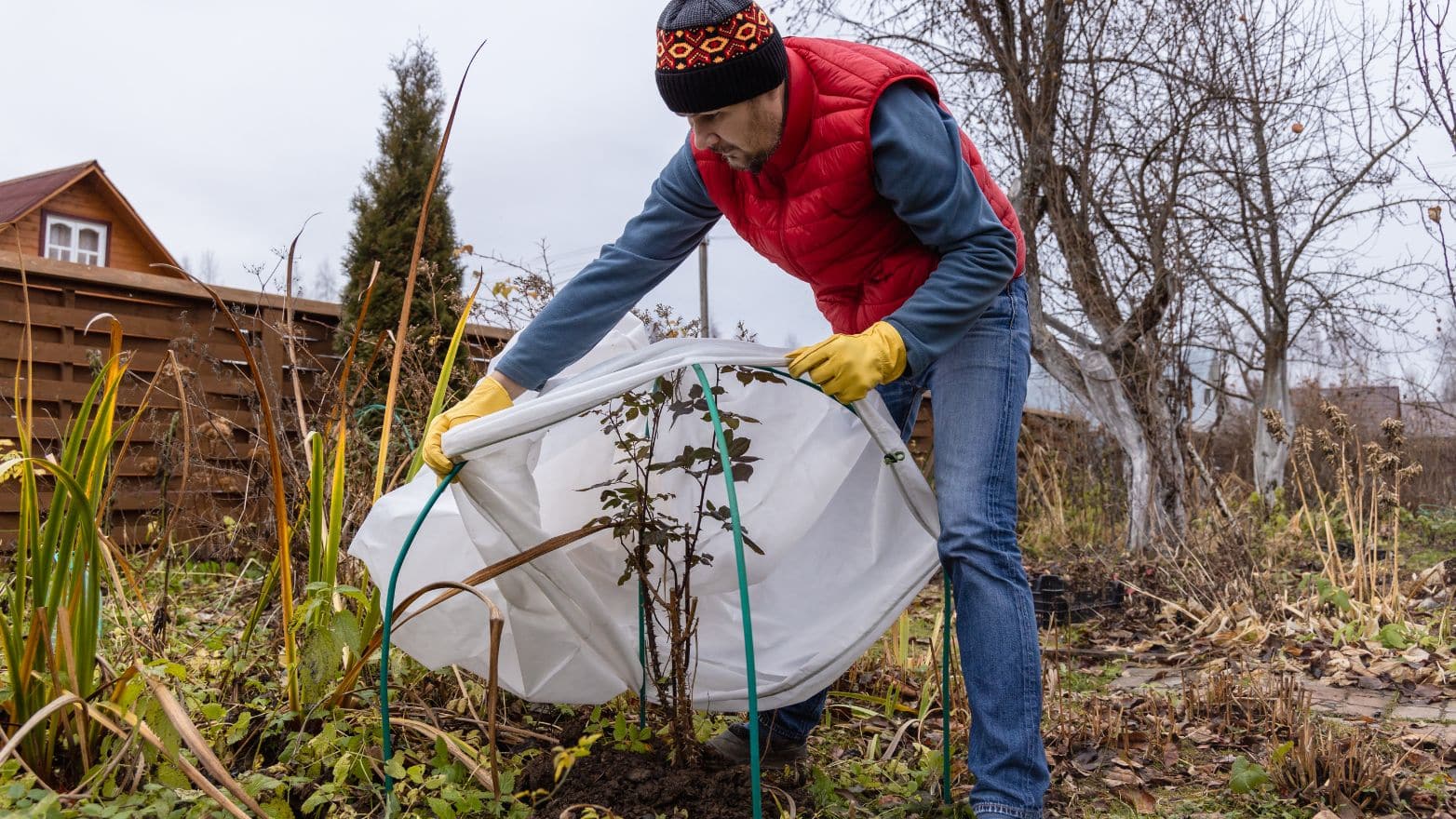Protéger son jardin du gel en hiver : les solutions