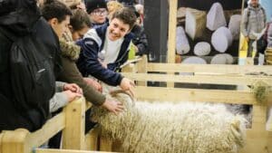 L'histoire du salon de l'agriculture