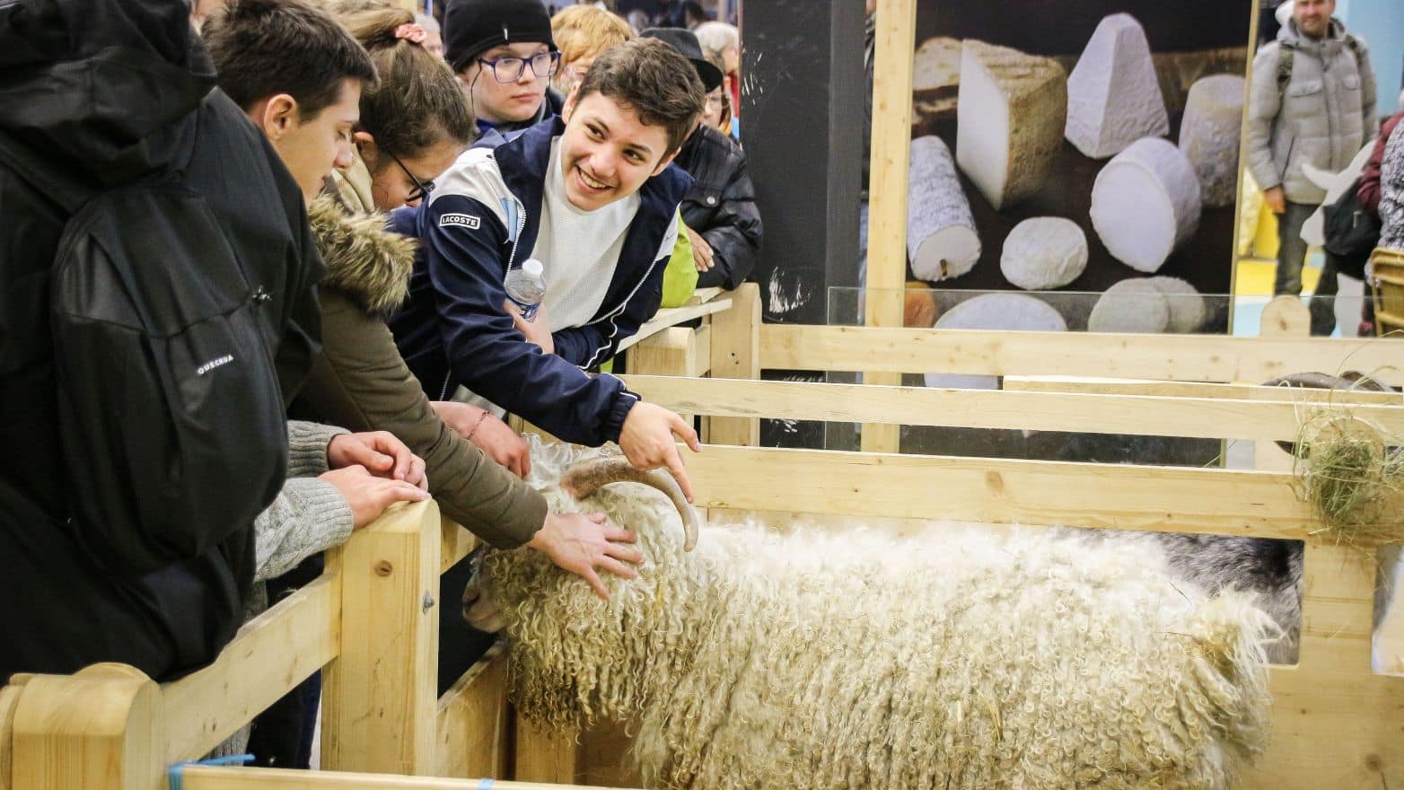 L'histoire du salon de l'agriculture