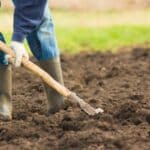 Comment bien préparer votre terre pour réussir les semis