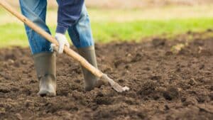 Comment bien préparer votre terre pour réussir les semis