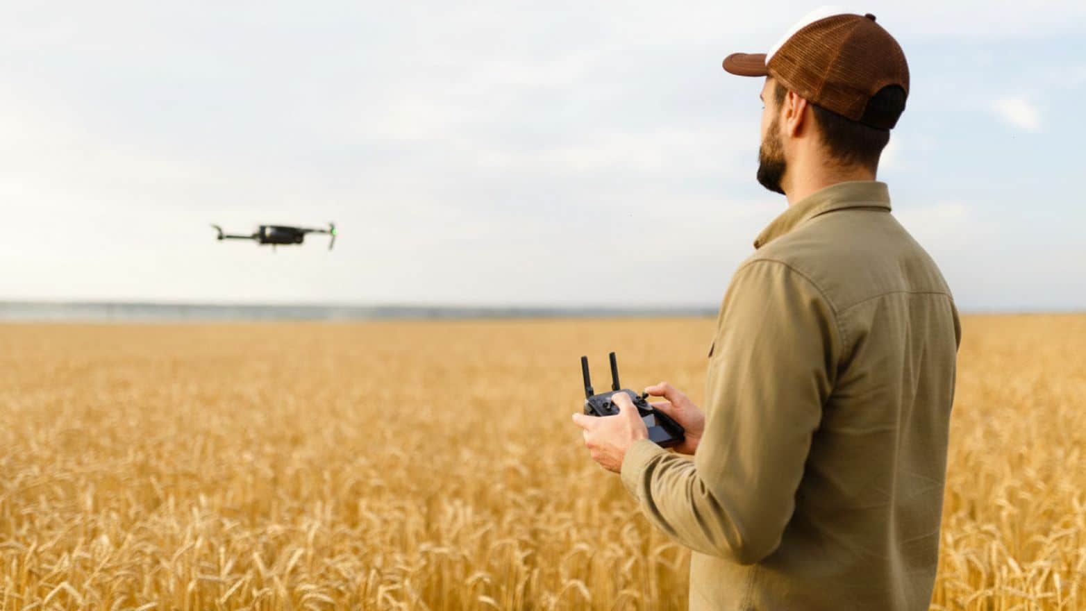 L'intelligence artificielle dans l'agriculture